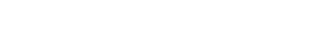 Etinger Initiatives